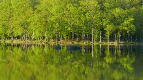 Bukovniško jezero v prekmurju