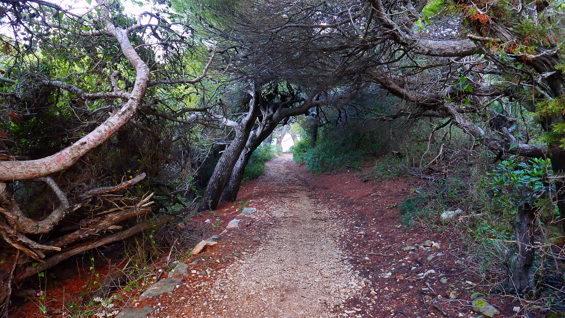 Put preko Solina – pot skozi gozd