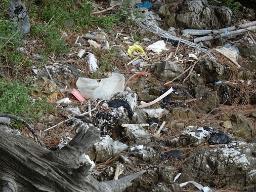 tretja vrsta smeti v zalivu Male blace