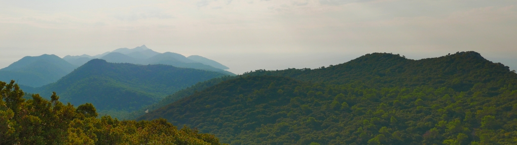Veliki Planjak: pogled proti jugovzhodu